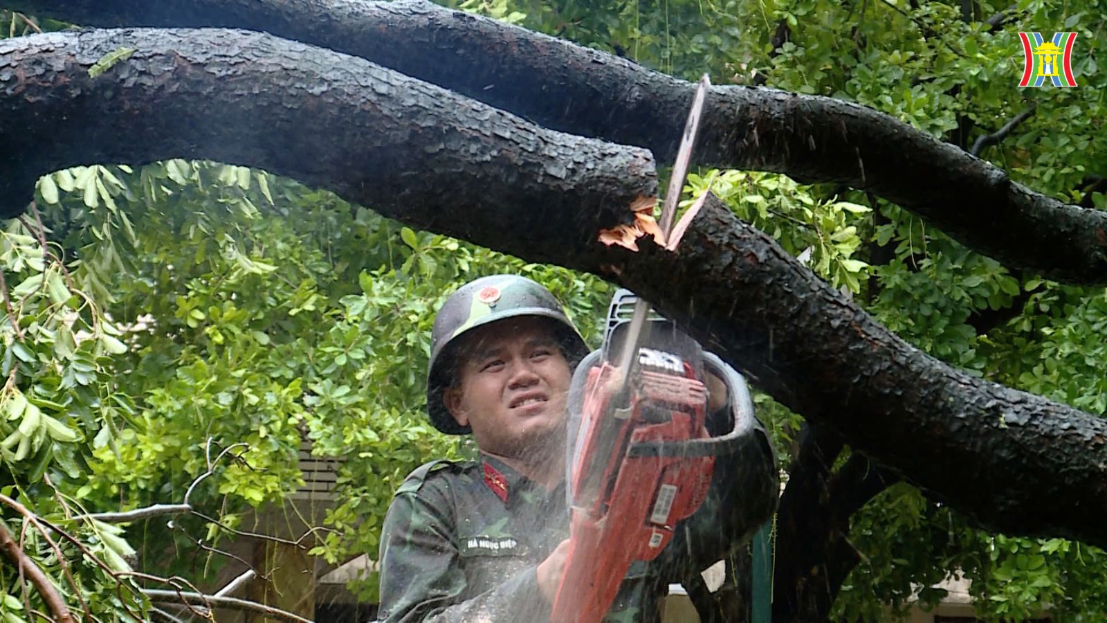 Lực lượng quân đội và dân quân hỗ trợ cắt tỉa cây xanh bị ngã đổ tại phường Hà Cầu, quận Hà Đông.